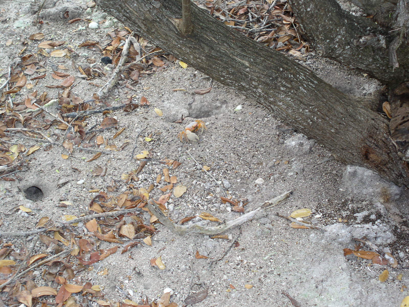 photo1